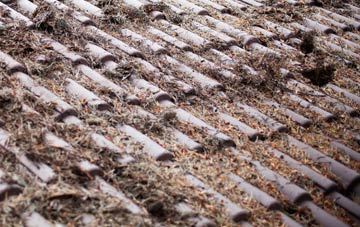 Kings Green roof cleaning companies